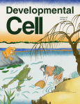 Developmental Cell