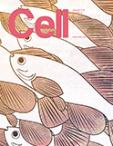 Cell