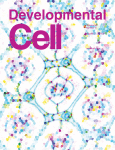 developmental-cell