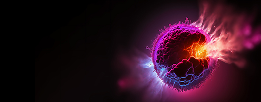Taking programmed cell death from mechanisms to interventions