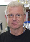 Andreas Strasser