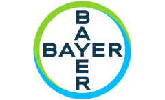 bayer