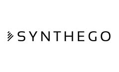 synthego