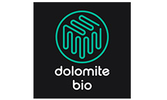 dolomite