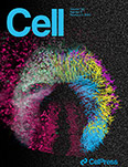 Cell
