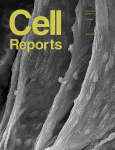 cell-reports