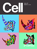 Cell