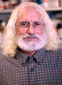 Greenberg