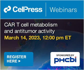 Webinar