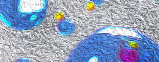 CS2024_MucosalImmunology_Register
