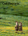 cell Reports