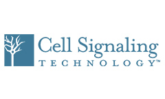 cellsignaling