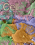 cell Reports