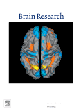 brain-research