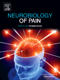 neurobiology-of-pain