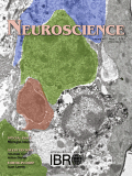 neuroscience