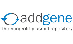 addgene