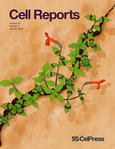cell-reports