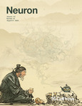 neuron