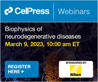 Webinar