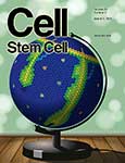 Cell Stem Cell