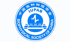 BSC