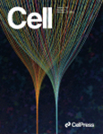 cell