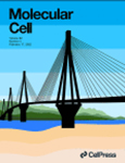 cell