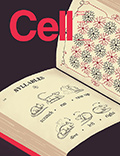 Cell