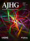 the-american-journal