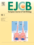 Bioresource Technology Reports