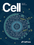 Cell