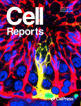 cell-report-medicine