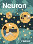 neuron