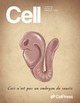 cell