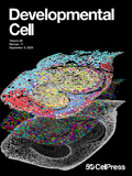 Developmental-Cell