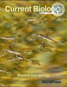 Cell-Biology