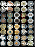 molecular-cell