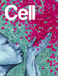 Cell