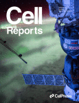 cell-report