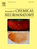 journal-of-chemical-neuroanatomy