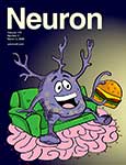 Neuron