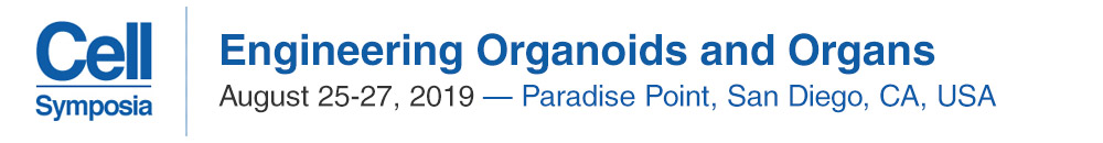 	Engineering Organoids and Organs