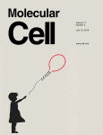Molecular-Cell